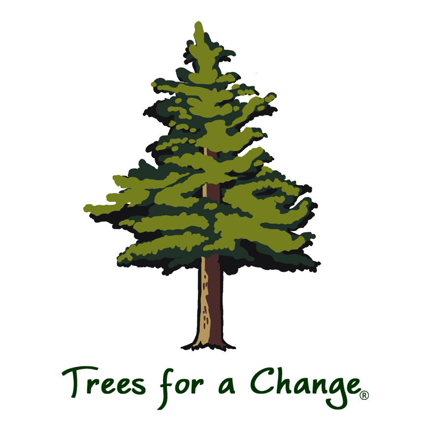 Illustrated evergreen tree with shades of green foliage on a white background. The text "Trees for a Change" is written below, conveying an eco-friendly message.